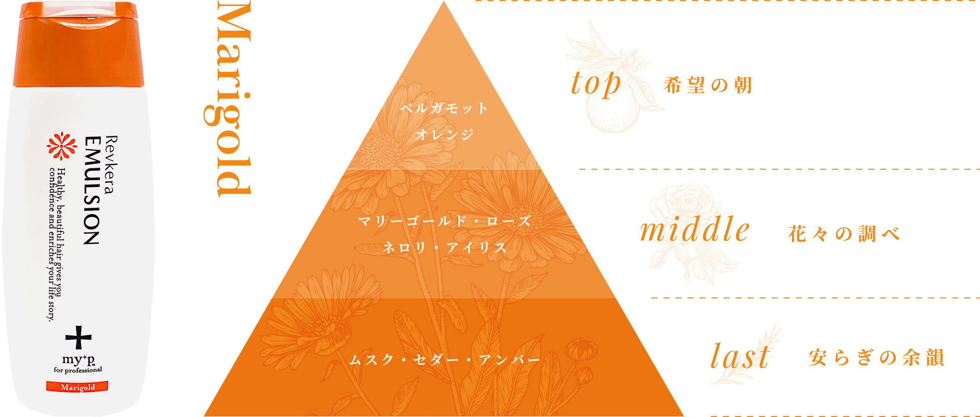 最高品質と成分