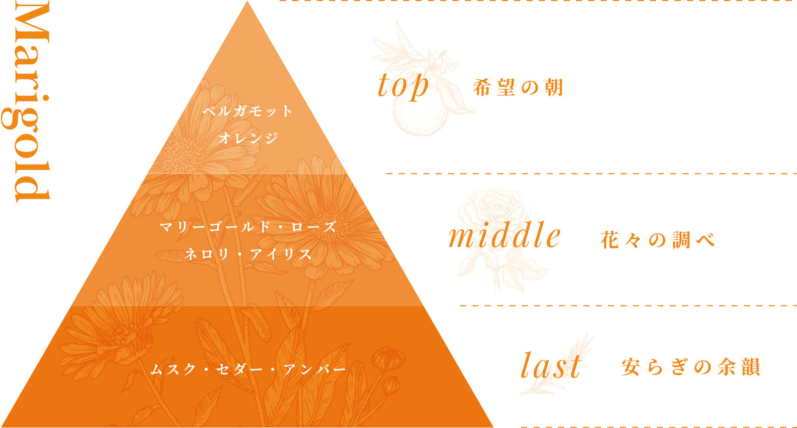 最高品質と成分