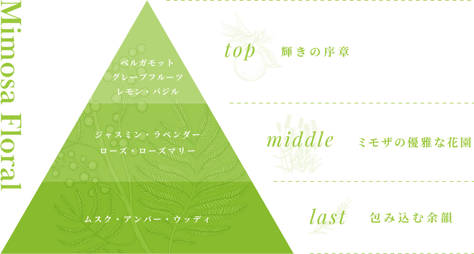 最高品質と成分