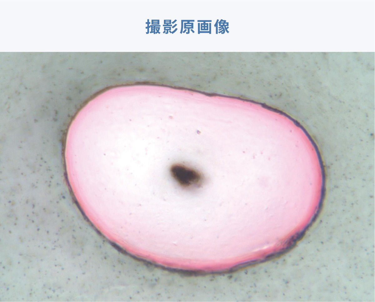 撮影原画像