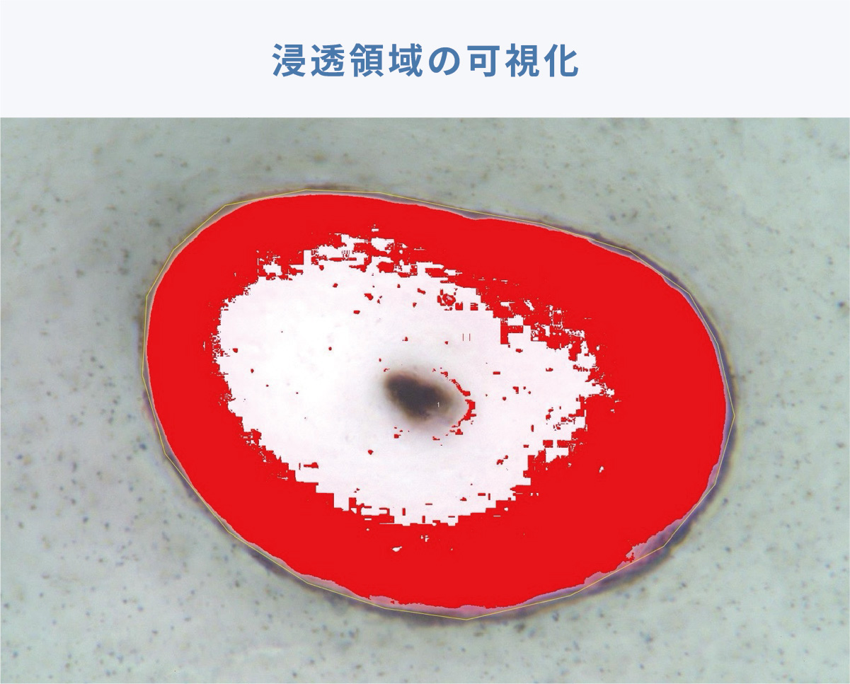 浸透領域の可視化