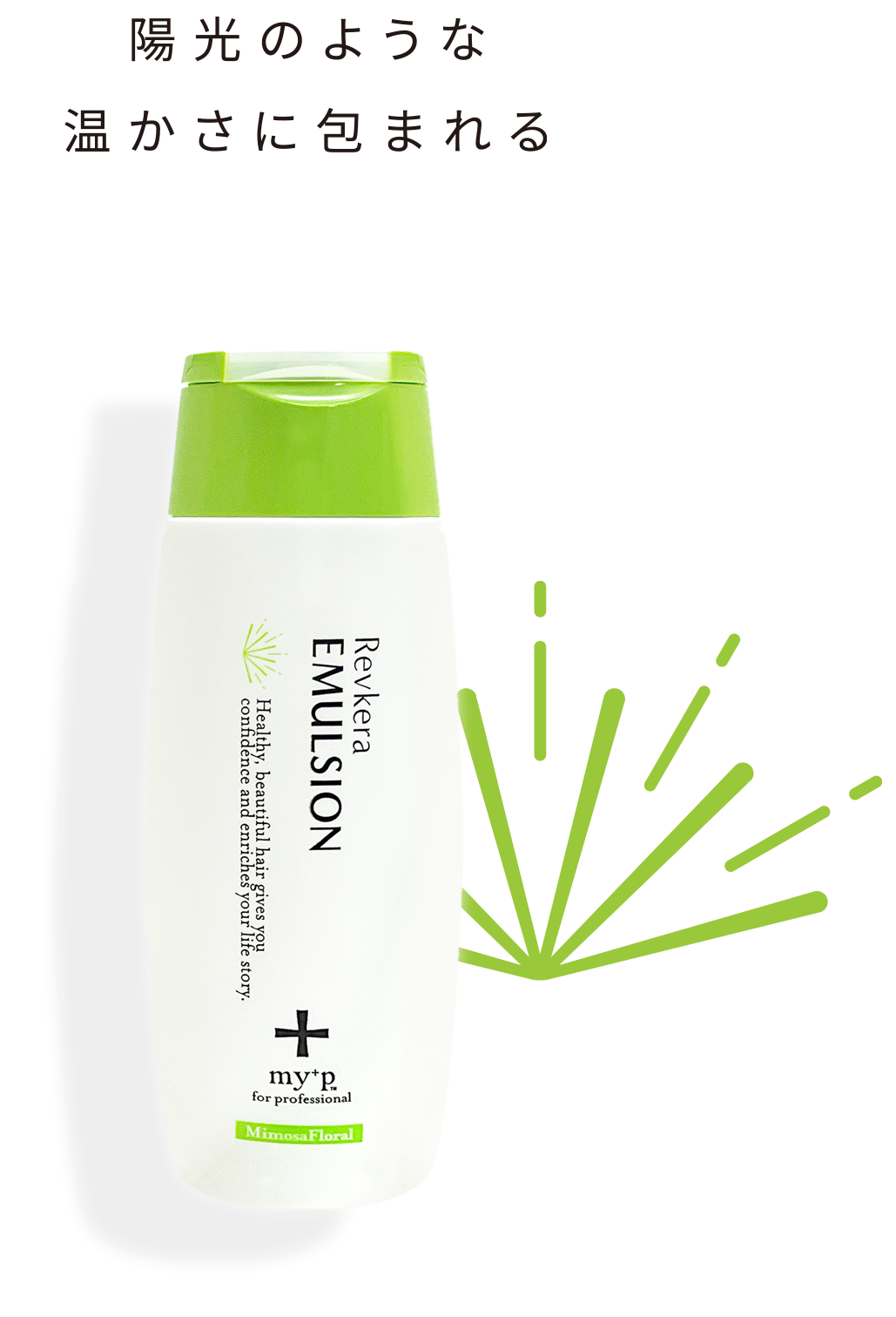 陽光のような暖かさに包まれる