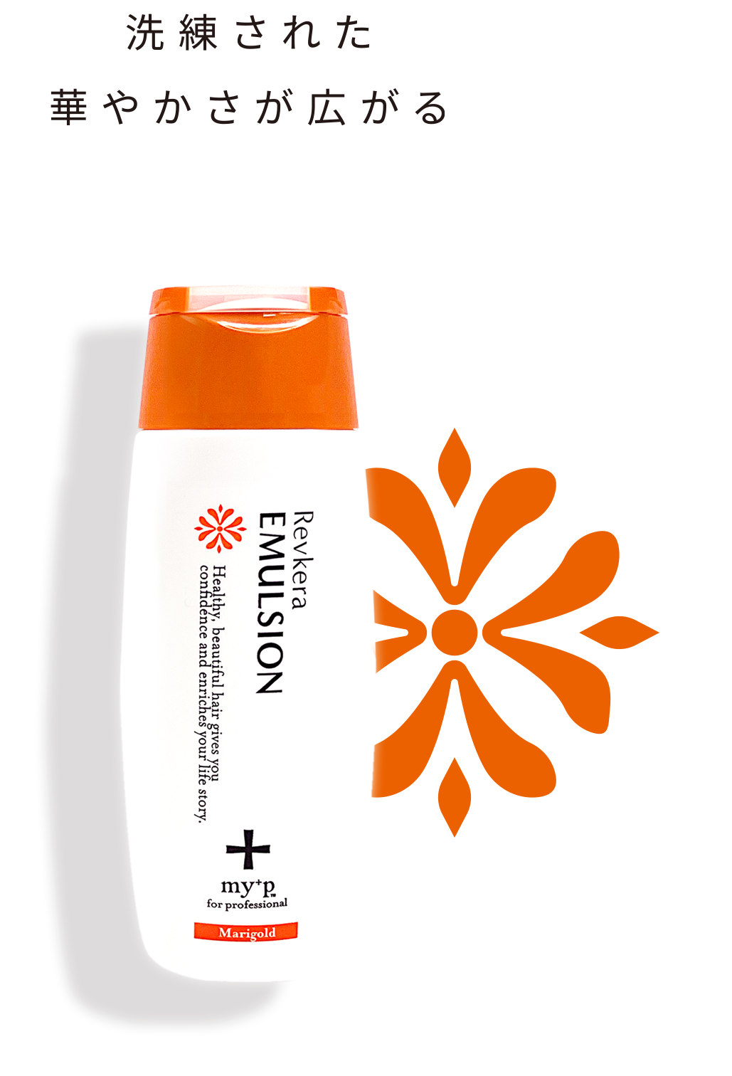 洗練された華やかさが広がる