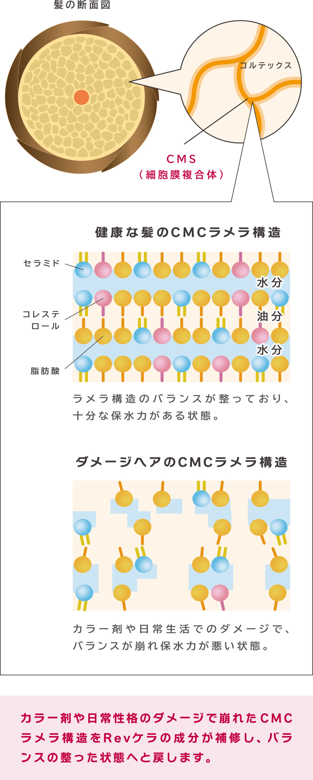 こだわり｜髪の今と未来を変える my+p